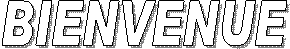 BIENVENUE